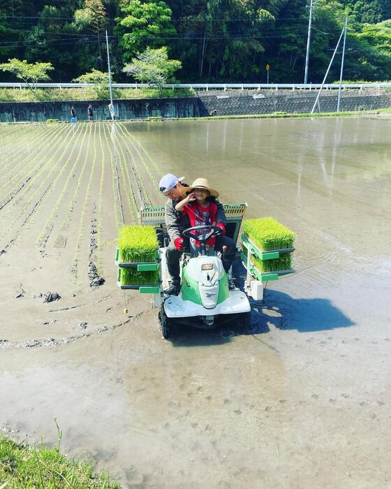 画像1386
