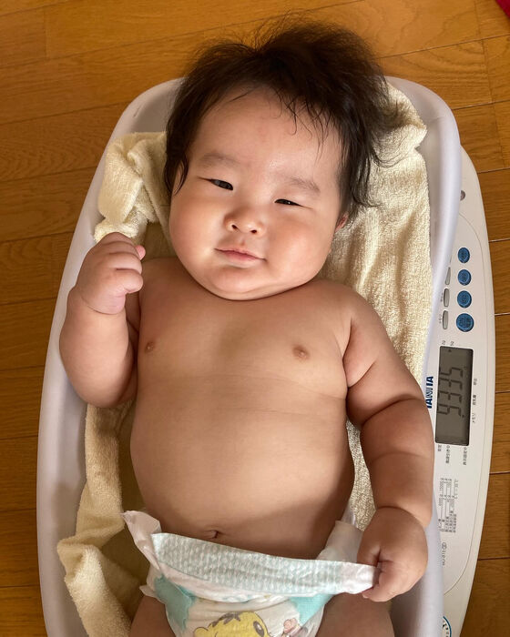 画像1731