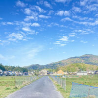 画像1776